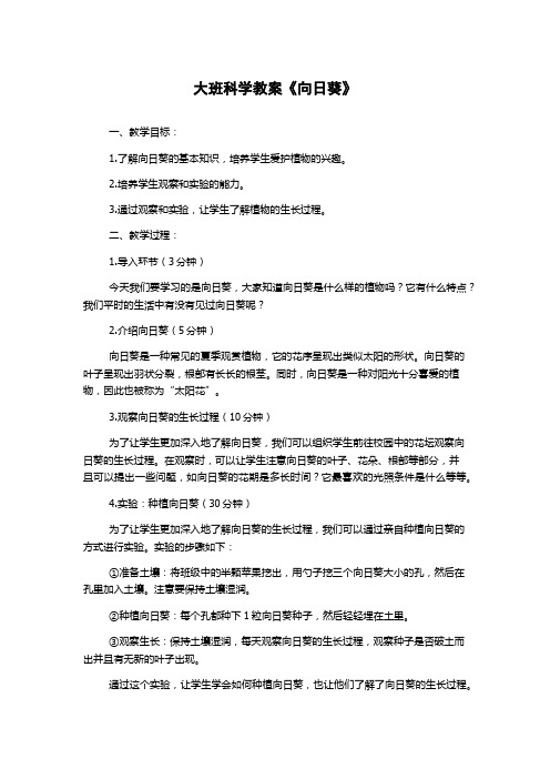 大班科学教案《向日葵》