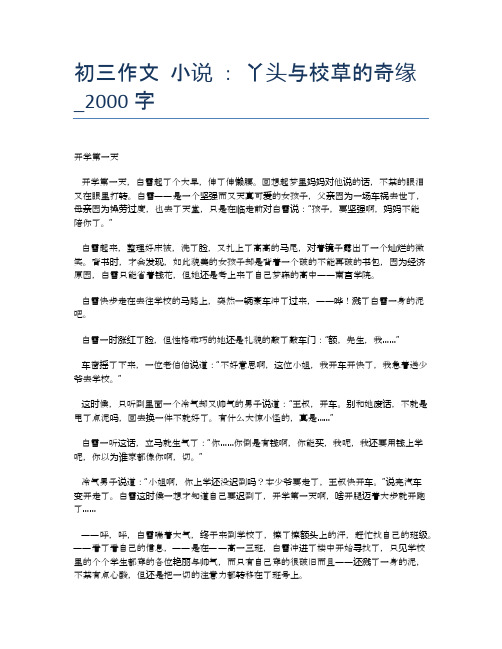 初三作文 小说 : 丫头与校草的奇缘_2000字