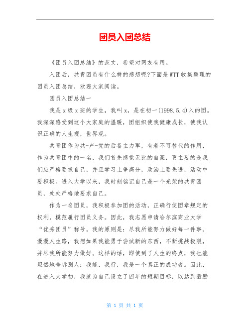 团员入团总结