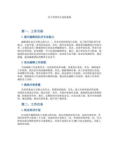 关于管理学计划的案例