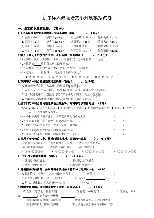 六年级下册语文 小升初语文模拟试卷  人教新课标(含答案)