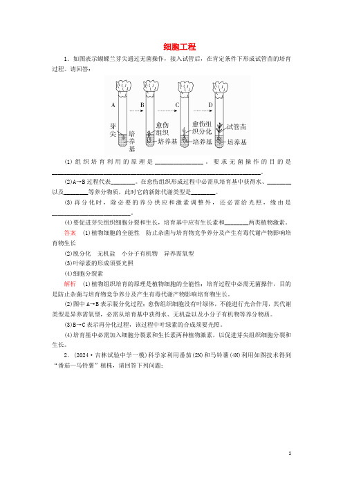 2024年高考生物一轮复习第10单元现代生物科技专题第35讲细胞工程课后作业含解析选修3