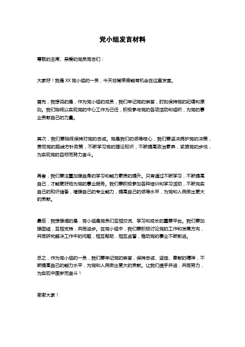 党小组发言材料