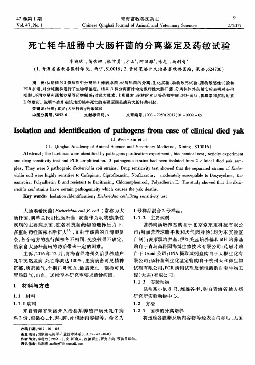 死亡牦牛脏器中大肠杆菌的分离鉴定及药敏试验