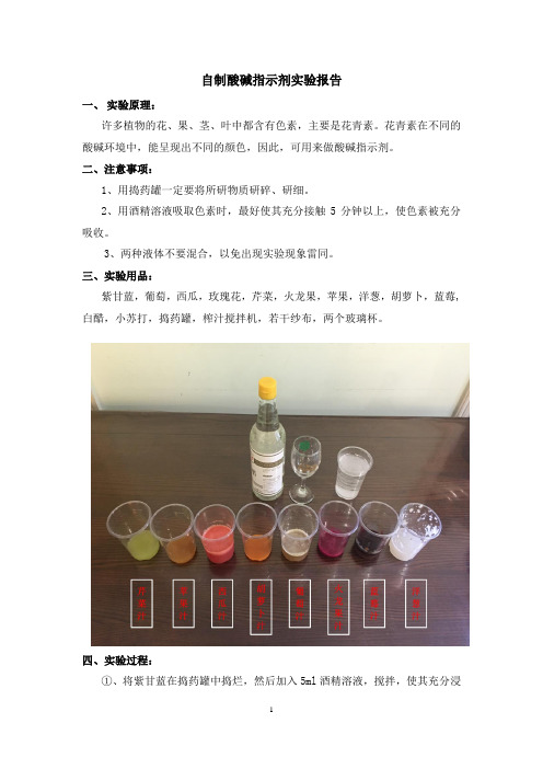 自制酸碱指示剂实验报告