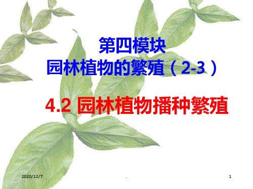 《园林植物播种繁殖》PPT课件