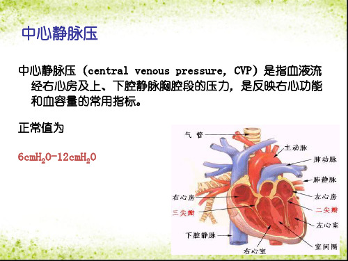 小讲课中心静脉压的测量及临床意义