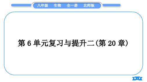 北师大版八年级生物上第6单元生命的延续第20章生物的遗传和变异复习与提升二(第20章)习题课件