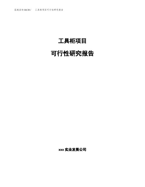 工具柜项目可行性研究报告