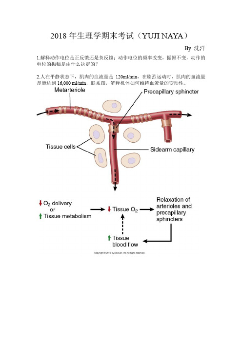 2018年生理学期末考试YUJINAYA