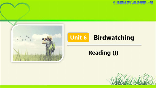 牛津译林版八年级英语上册Unit 6 Reading (I) 示范公开课教学课件