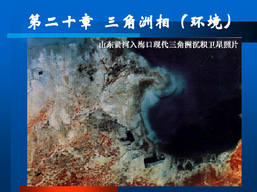 第二十章-三角洲相