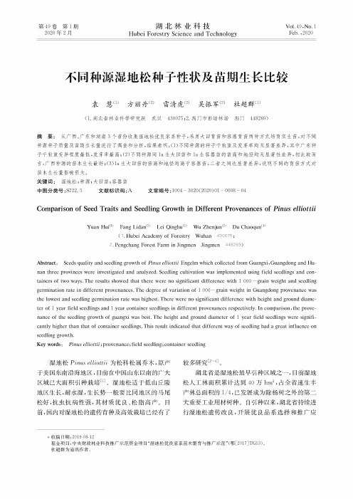 不同种源湿地松种子性状及苗期生长比较