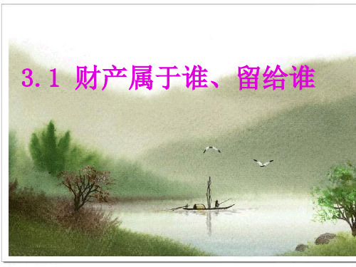 财产属于谁、留给谁PPT资料25页