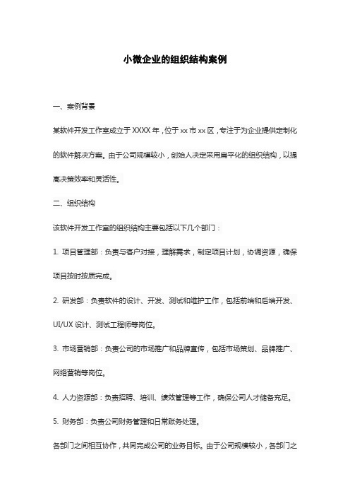 小微企业的组织结构案例