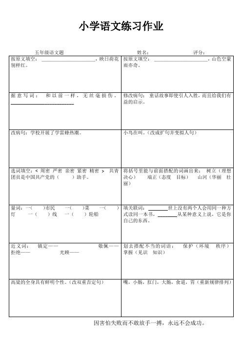 小学五年级语文精作细练I (95)