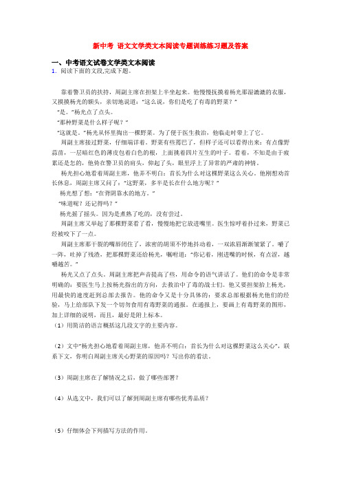 新中考 语文文学类文本阅读专题训练练习题及答案