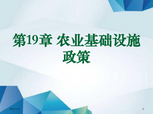 农业政策学课件 第19章 农业基础设施政策