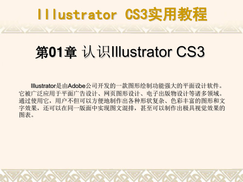 第01章 认识Illustrator CS3 中文版Illustrator CS3实用教程课件