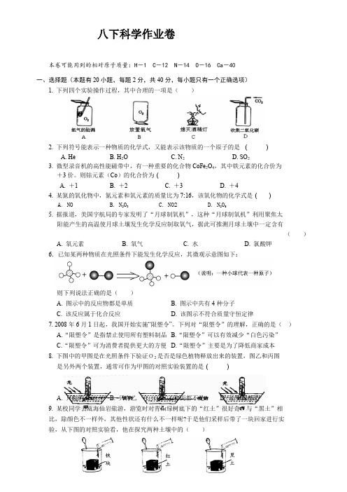 科学作业本八下