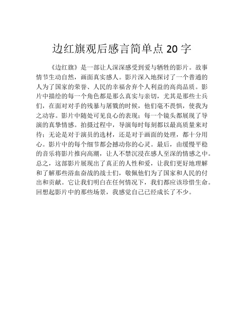 边红旗观后感言简单点20字