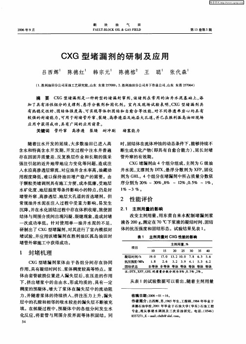 CXG型堵漏剂的研制及应用