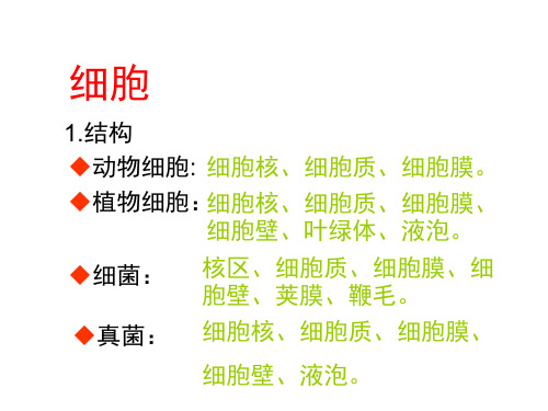 原核生物无细胞核