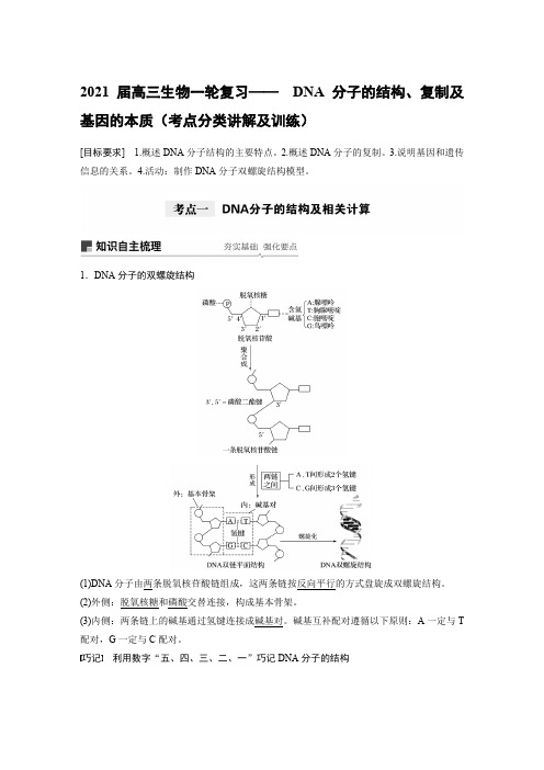 2021届高三生物一轮复习—— DNA分子的结构、复制及基因的本质(考点分类讲解及训练)