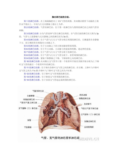 胸内淋巴结的分组