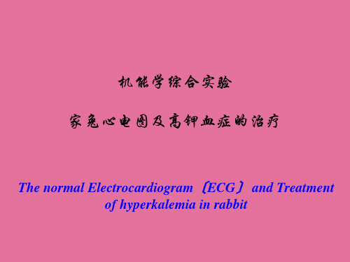 实验家兔心电图及高钾血症的治疗ppt课件