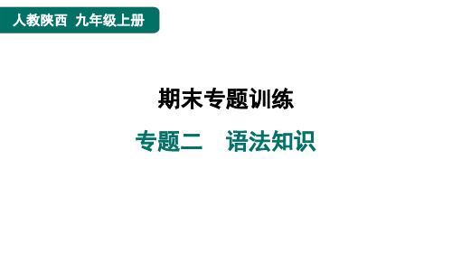 九年级语文上册专题二 语法知识作业