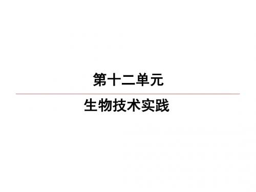 2020年高考生物(江苏)复习课件:加酶洗衣粉的洗涤效果、酵母细胞的固定化