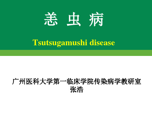 恙虫病-精品医学课件