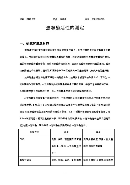 淀粉酶活性测定实验报告