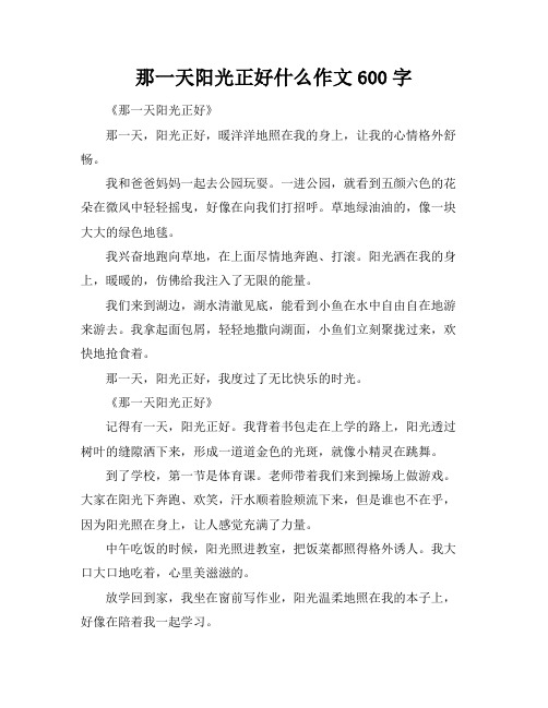 那一天阳光正好什么作文600字