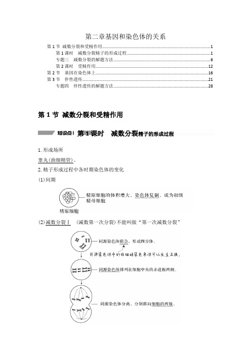 新教材 人教版高中生物必修2 第二章 基因和染色体的关系 知识点考点重点难点提炼汇总