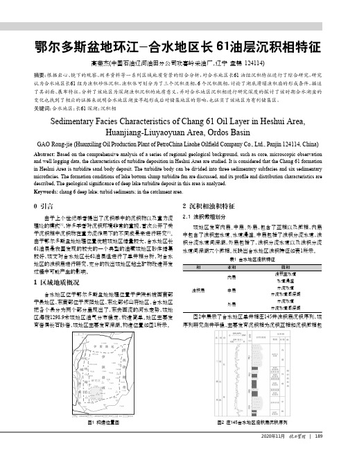 鄂尔多斯盆地环江-合水地区长61油层沉积相特征