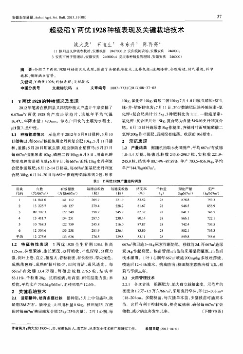 超级稻Y两优1928种植表现及关键栽培技术