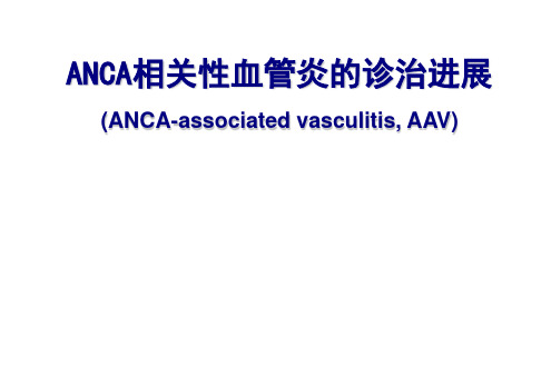 ANCA相关性血管炎的诊治进展PPT