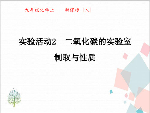 初中化学人教版《二氧化碳的实验室制取与性质》_课件-完美版