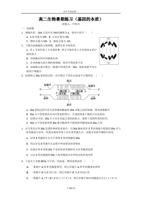 人教版试题试卷高二生物暑期练习(基因的本质)