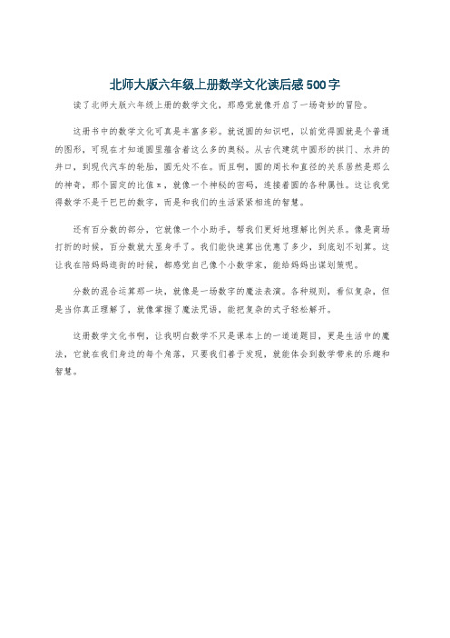 北师大版六年级上册数学文化读后感500字