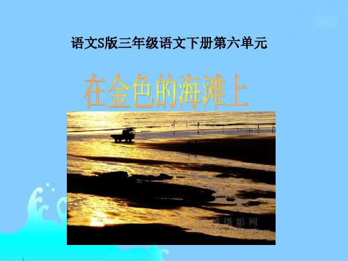 三年级下册《在金色的海滩上》PPT(语文S版)