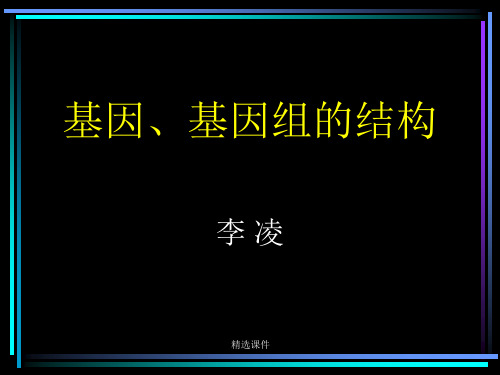 基因基因组的结构