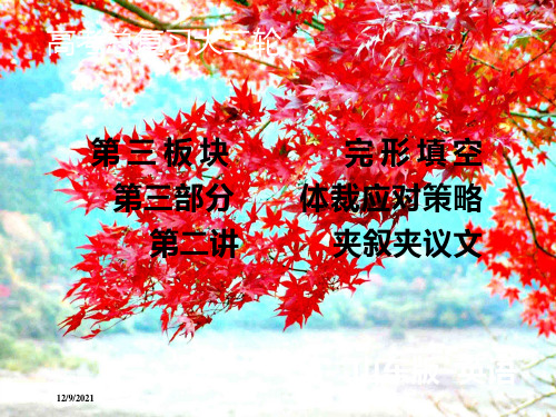 高考英语大二轮总复习 第三板块 完形填空 第三部分 体裁应对策略 第2讲 夹叙夹议文课件