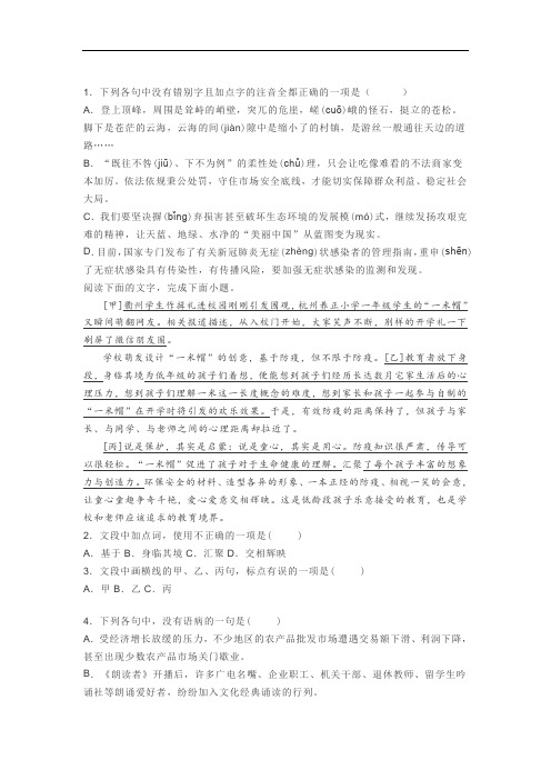 高考模拟语言文字运用练习一则及答案