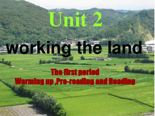 人教高中英语必修4Unit2Warming up ,Pre-reading and Reading 