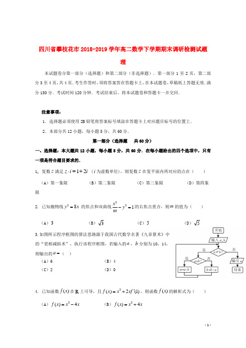 四川省攀枝花市2018_2019学年高二数学下学期期末调研检测试题理