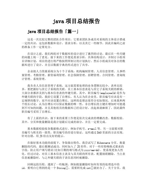 java项目总结报告