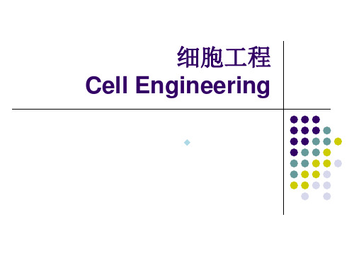 细胞工程第二章：动物细胞培养实验前准备yhy